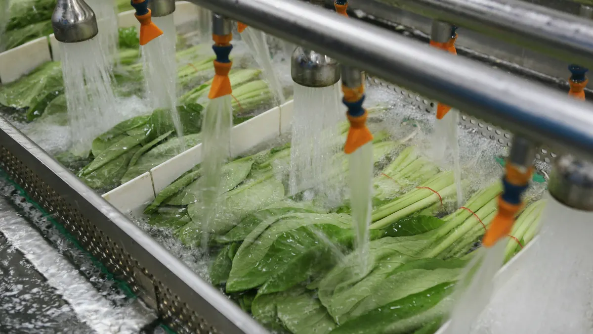 Groente wordt gewassen op een industriële waslijn met sproeiers