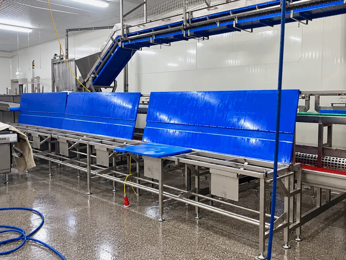 Gereinigde productielijn met blauwe snijplaten in een voedselverwerkend bedrijf