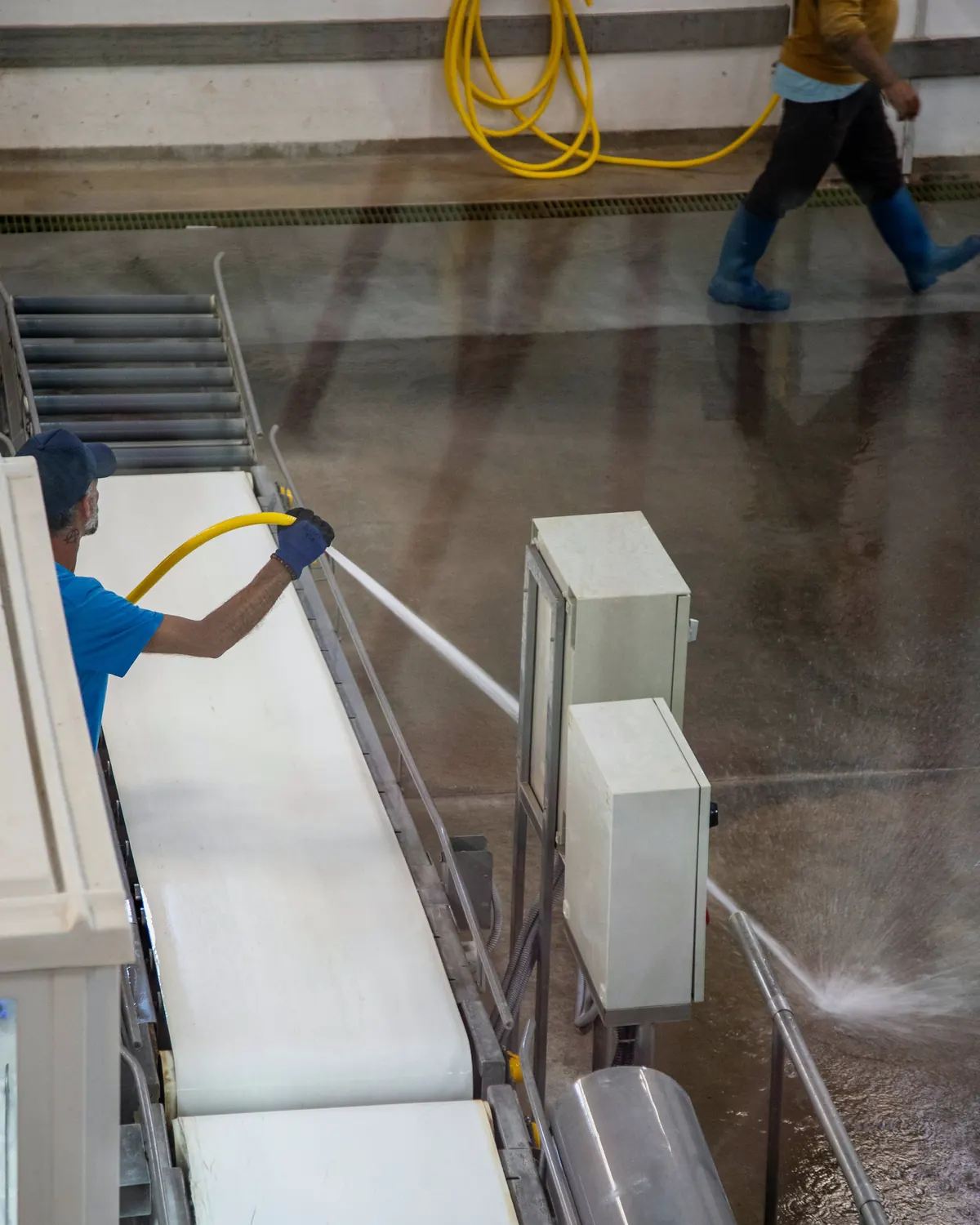 Medewerkers reinigen een transportband in een voedselverwerkend bedrijf met waterslangen